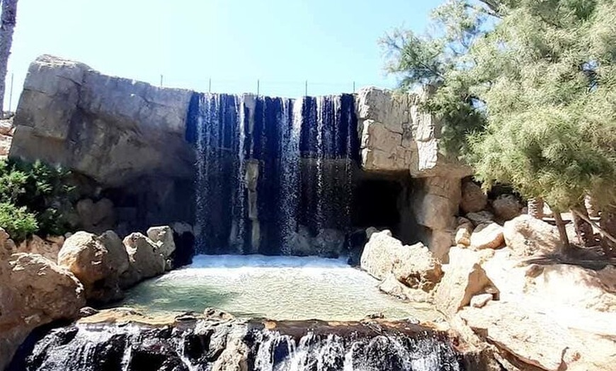 Image 4: Búsquedas autoguiadas de carroñeros en Alicante con 4 ubicaciones