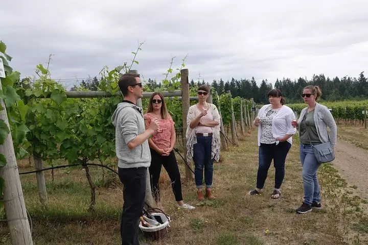 Winery and Distillery Tour - Second Medium
