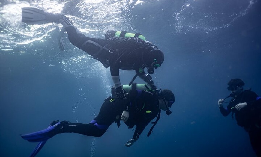 Image 15: Experiencia de buceo con instructor SSI en Cap Formentor
