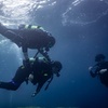 Image 15: Experiencia de buceo con instructor SSI en Cap Formentor