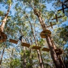 Image 1: Treetops Adventure Coffs Harbour Tree Ropes Course