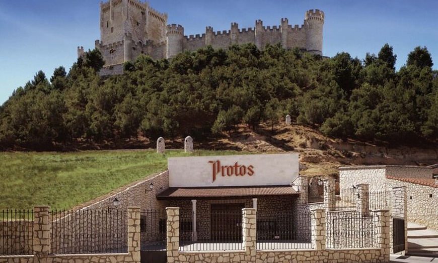 Image 4: 3Dias Bodegas Exclusives en Chinchon y Segovia y Peñafiel