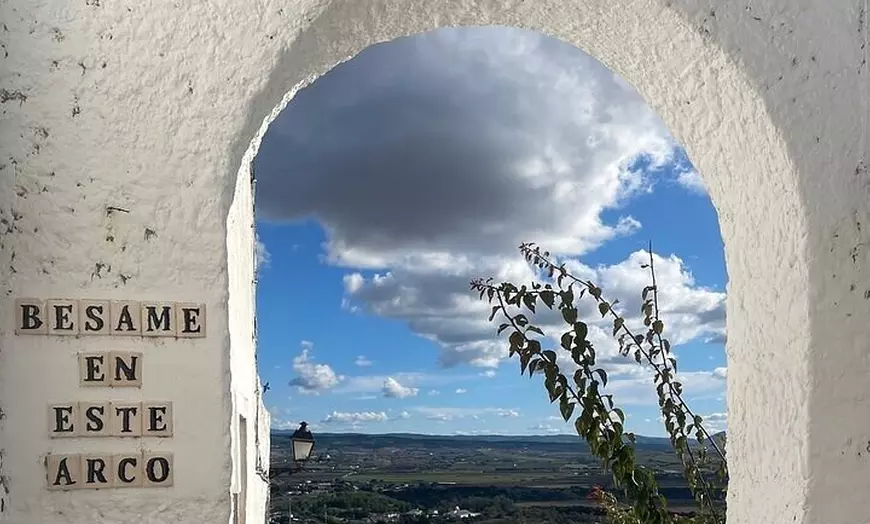 Image 36: Day trip privado a Arcos, Medina Sidonia y Vejer de la Frontera