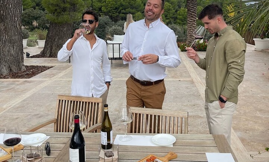 Image 5: Alicante : Catas de Vinos & Tapas Privadas en 2 Bodegas Boutique
