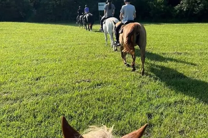 B&C horseback riding in nature and Keeneland racetrack.