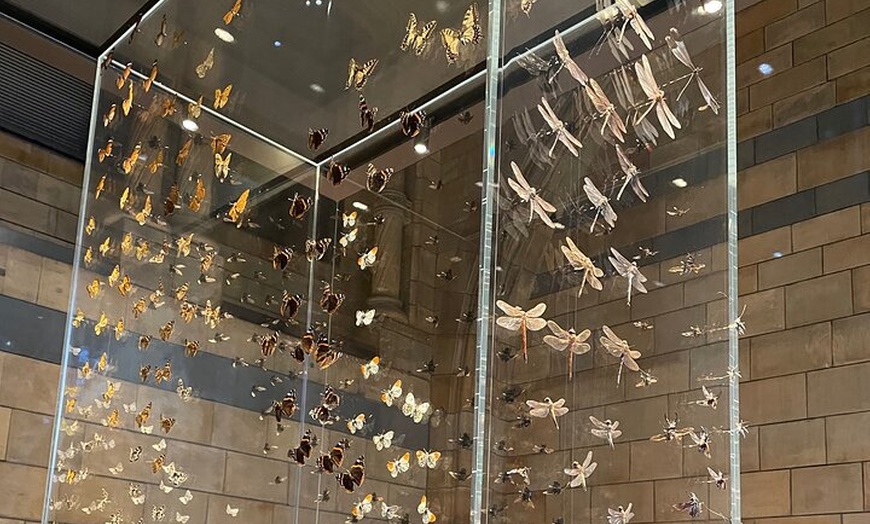 Image 2: Women in the Natural History Museum