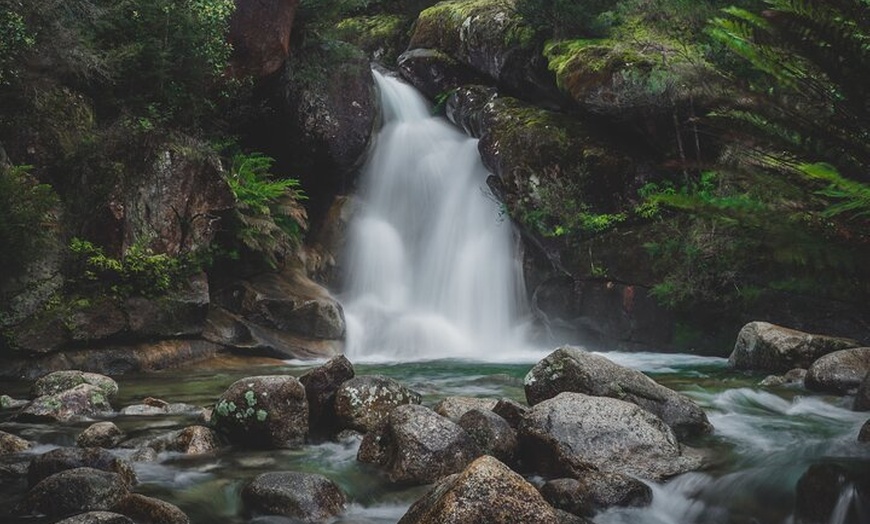 Image 5: Experience Mt Buffalo Hikes Waterfalls and Scenic Views