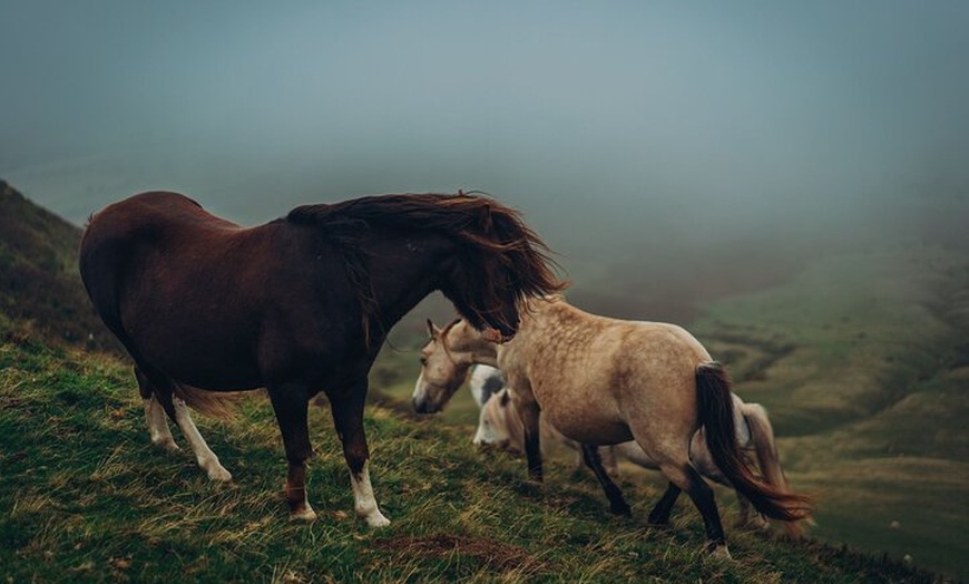 Image 4: Bannau Brycheiniog Brecon Beacons Hay on Wye Tour