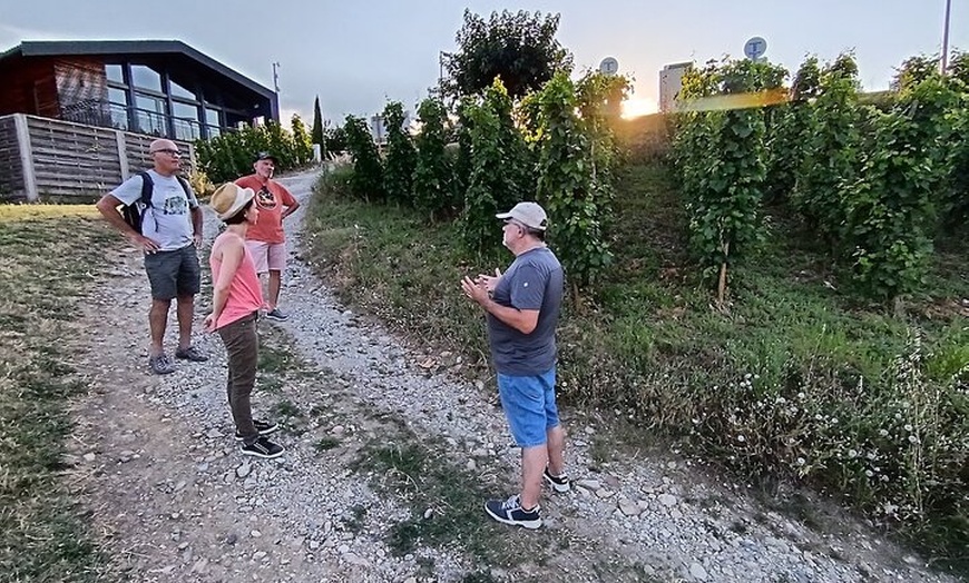 Image 11: Randonnée et Vin entre Côte-Rôtie et Condrieu