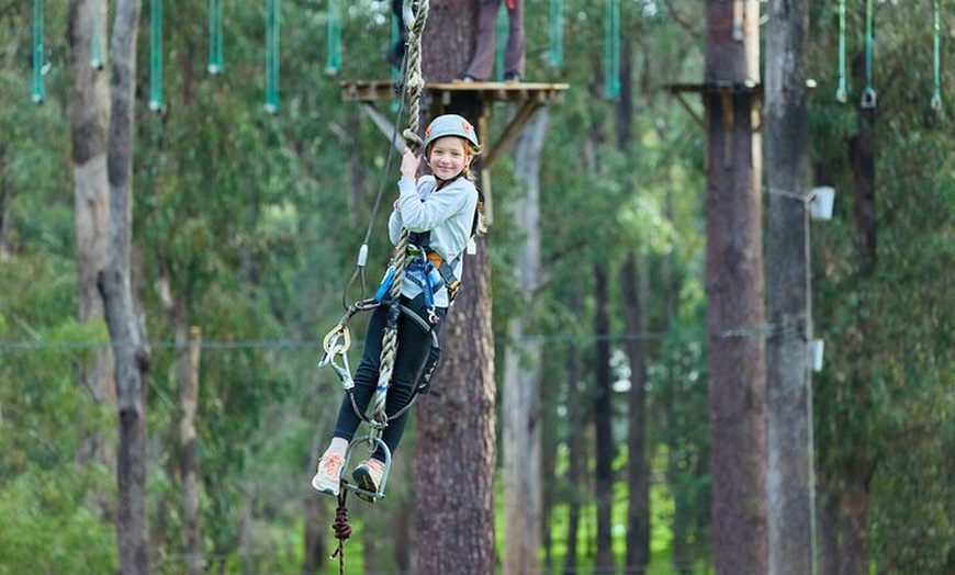 Image 12: Forest Adventures