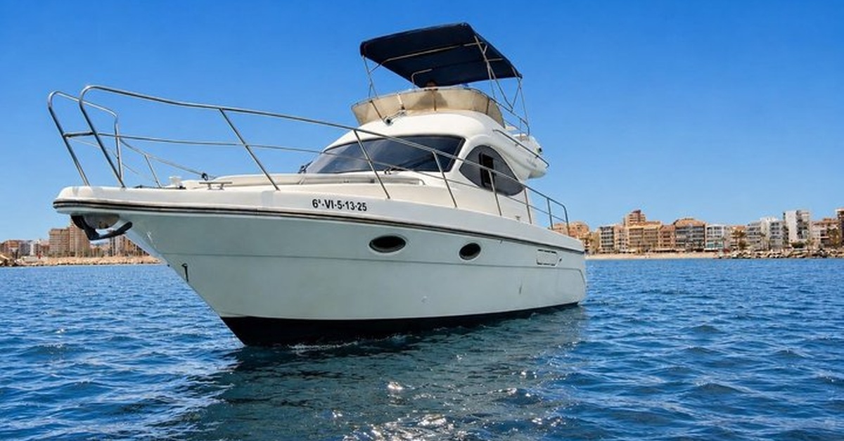 Avistamiento de delfines en yate con bebida premium en Málaga