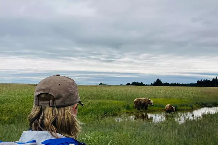 Alaska Bear Viewing Adventure from Seward