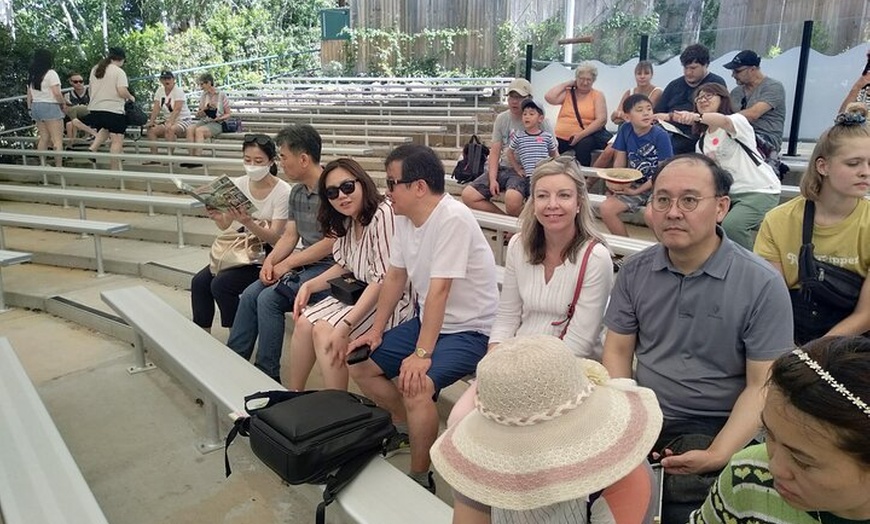 Image 8: Currumbin Wildlife Sanctuary & Burleigh Heads Private Tours