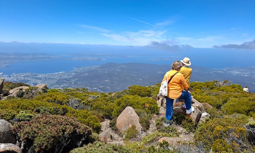 Image 5: Hobart Highlights and Mount Wellington Shore Excursion