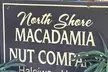 North Shore Foodie Fun: Eat, Explore, Enjoy (Incl. Dole) - Second Medium
