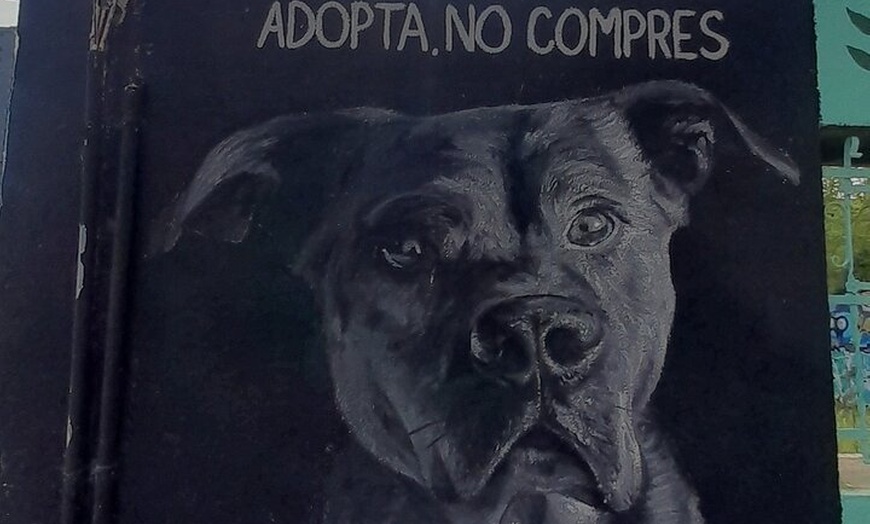 Image 9: Tour privado personalizable con tu amigo local en Barcelona