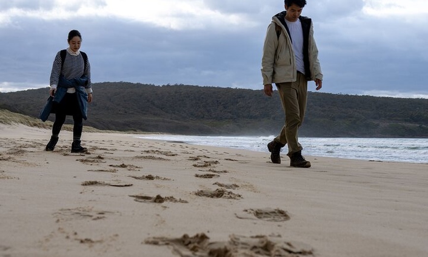 Image 12: Bruny Island Nature and Tasting Active Day Tour