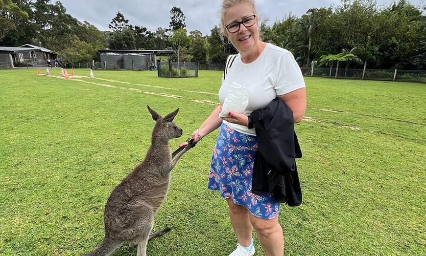 Image 11: South Coast Private Tour & Royal National Park Inc