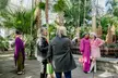 Holiday Tea Experience & NYBG Holiday Train Show - Second Medium