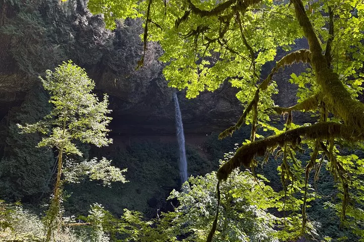 Seven Falls Hiking Tour at Silver Falls State Park - Second Medium