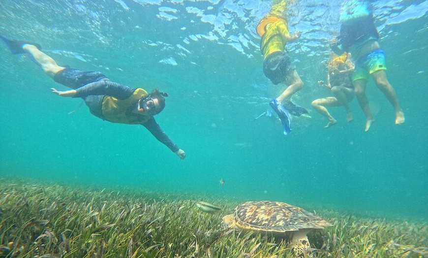 Image 5: Snorkel Adventure in Cancun