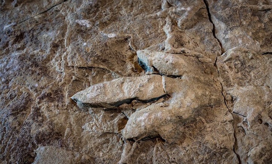 Image 10: 3 Day Private Tour of Isle of Skye, Glencoe, Inverness, Loch Ness