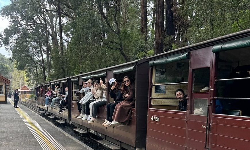Image 10: Private Puffing Billy Steam Train and Healesville Sanctuary Tours