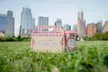 Tea Around Town Austin: Elegant Tea Bus Tour and Treats - Second Medium