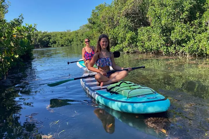 Half Day Kayak Rental to John's Pass Sandbar & Mangrove Tunnel