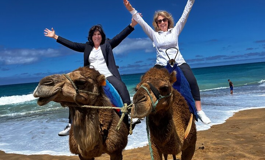 Image 34: Tour privado de lujo de un día a Tánger desde Marbella Todo incluido