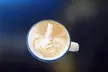 5% Cash Back at Luckman Coffee Company - Second Medium