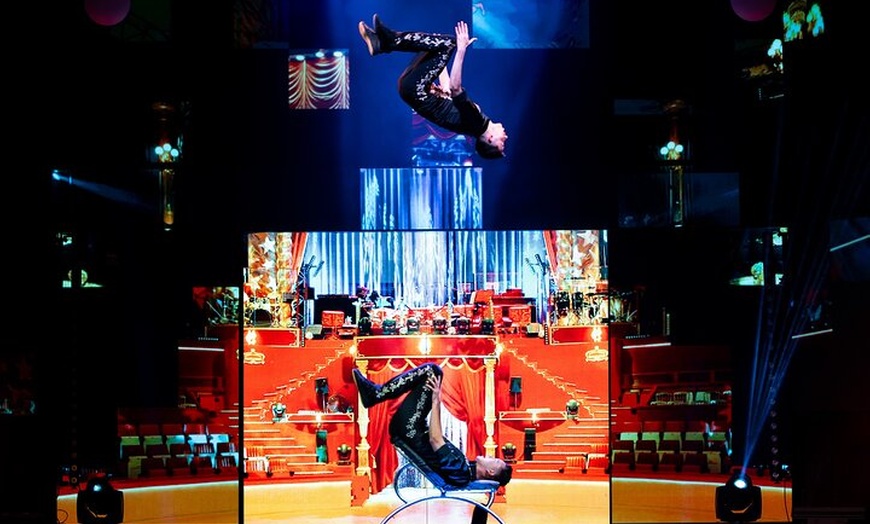 Image 33: Wintergarten Varieté "FLYING LIGHTS" - Highlightshow (75 Minutes)