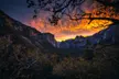 Yosemite and Kings Canyon National Park 2 Day Tour from LA - Image 4