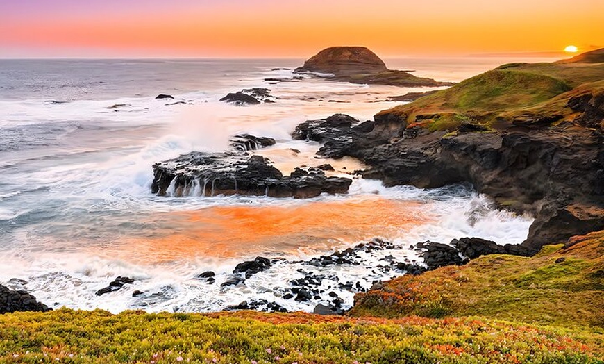 Image 7: Melbourne Puffing Billy Penguin Yarra Valley Wine choc Tour