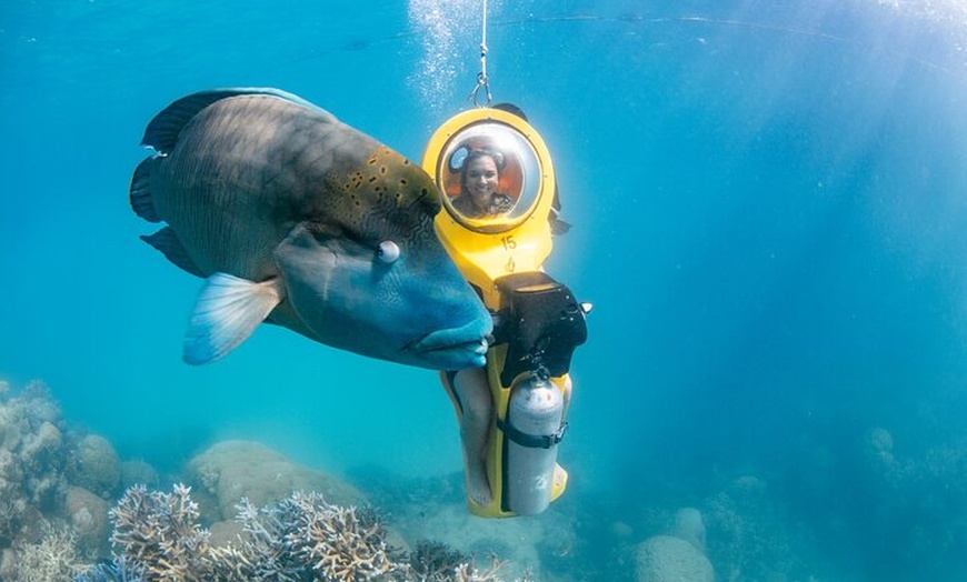 Image 7: 1 Day Green Island & Green Barrier Reef Day Tour from Cairns