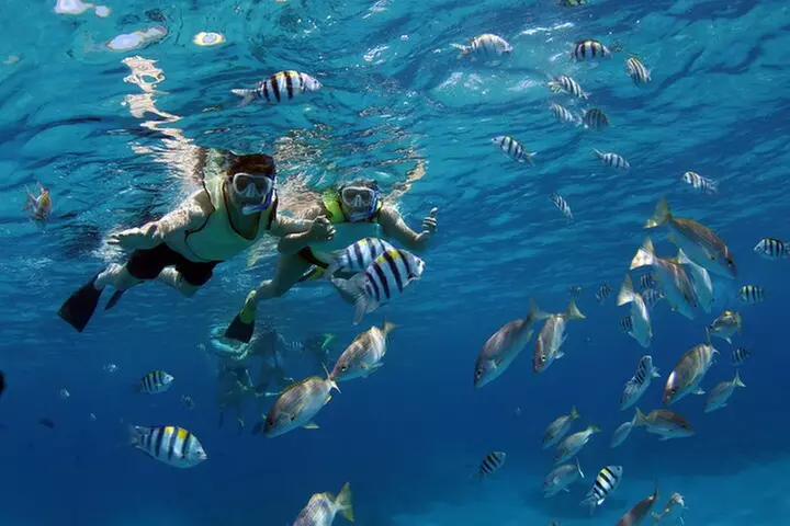 Oahu: Private Sunset Cruise and Dolphin Watch with Hot Buffett