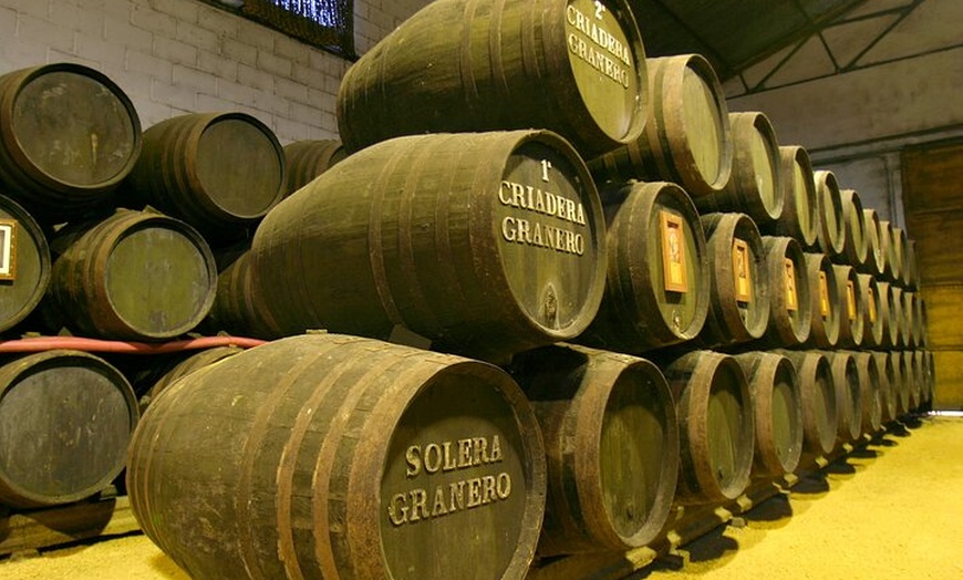 Image 5: Desde Cádiz, visita a la bodega Chiclana de la Frontera con almuerzo