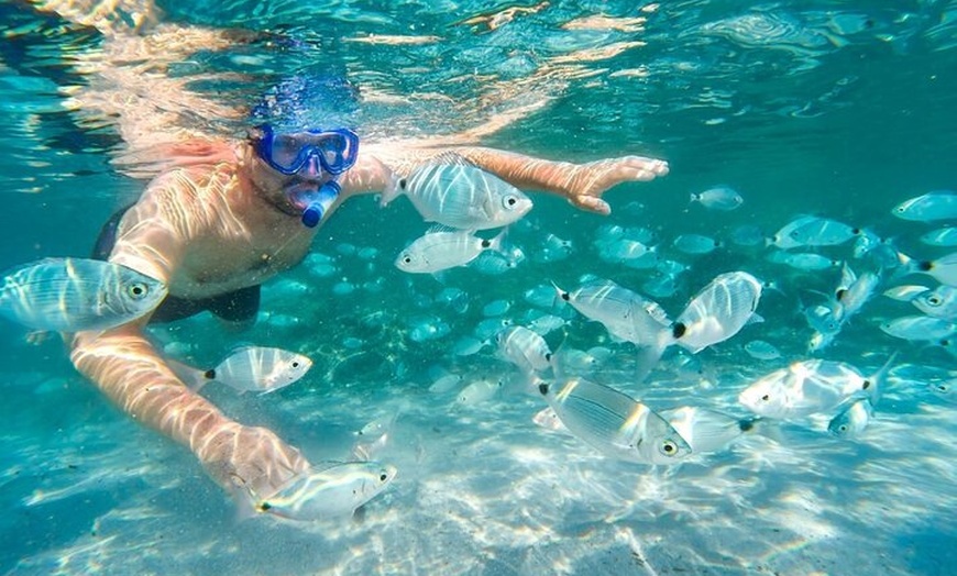 Image 1: Croisière à Bonifacio et Snorkeling aux îles Lavezzi