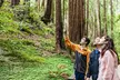 Muir Woods & Sausalito (Return by Bus or Ferry) - Second Medium