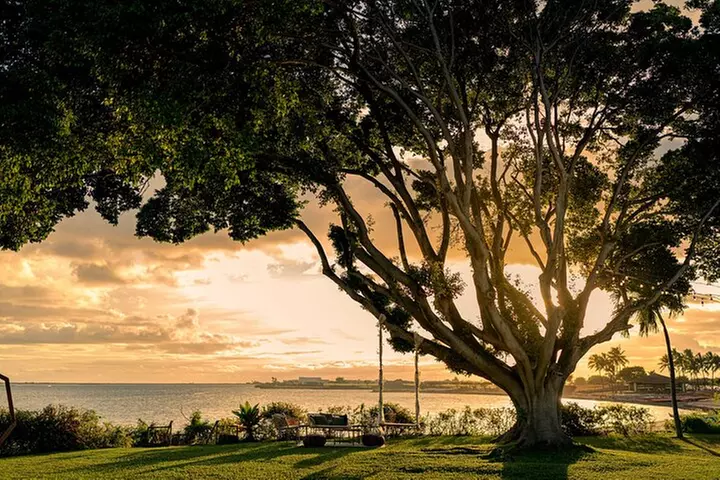 Island of Magic Private Wedding Tour