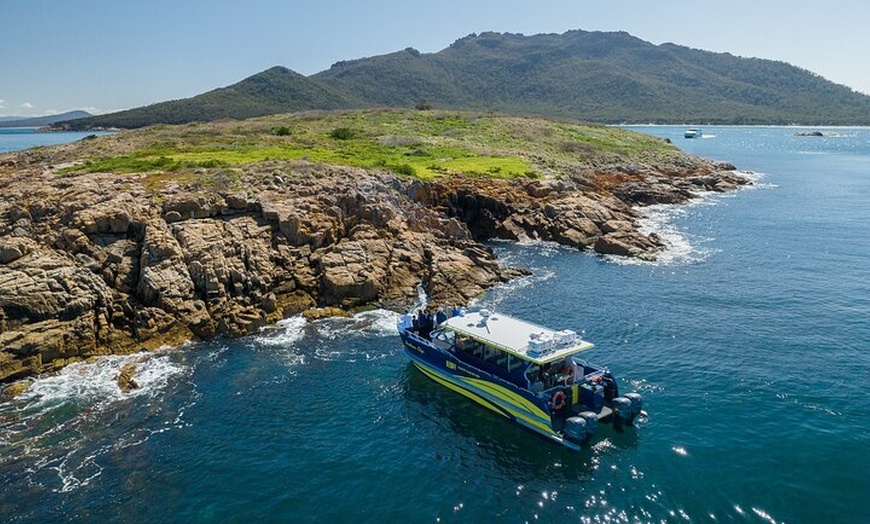 Image 6: Wineglass Bay Shared Cruise and Walking Tour