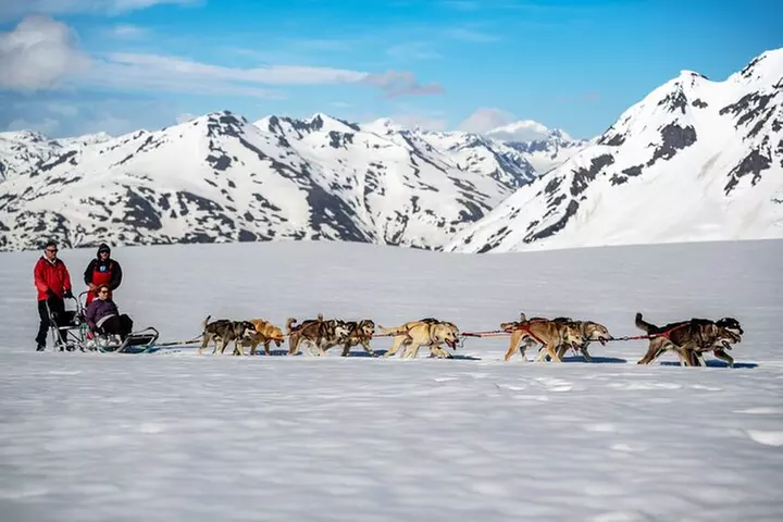 Anchorage Summer Glacier Dogsledding Tour