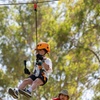 Image 5: Aerial Fun & Ziplining for Our Littlest Adventurers in Salisbury