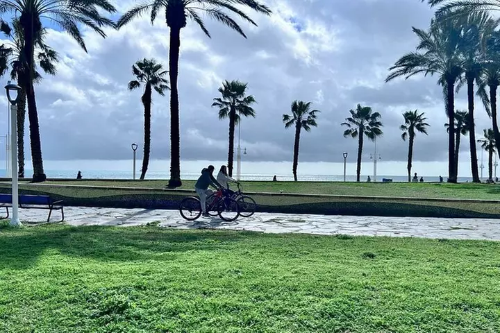 2h E-bike tour en Málaga