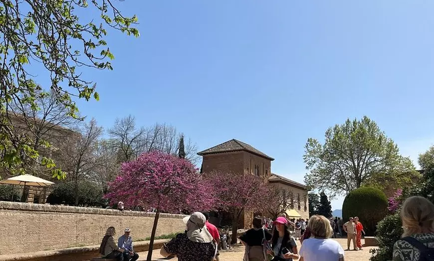 Image 4: Visita guiada a la Alhambra