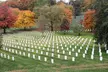 Visit Arlington National Cemetery with one of DC's best guides! - Second Medium