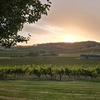 Image 9: Flavour of the Yarra Valley Private Experience