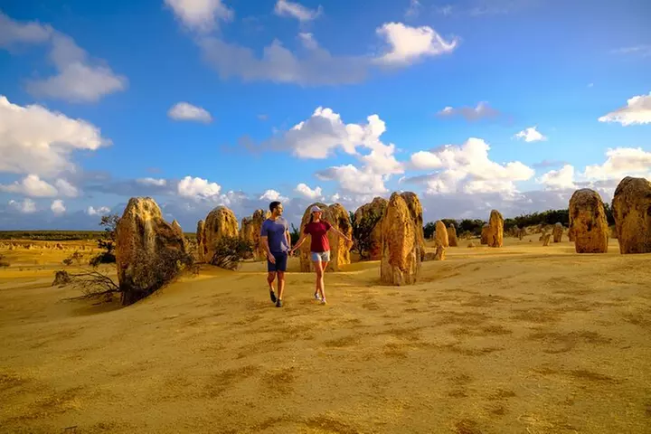 Pinnacles+Lancelin Sand Dune Impression Day Tour from Perth - Primary Image