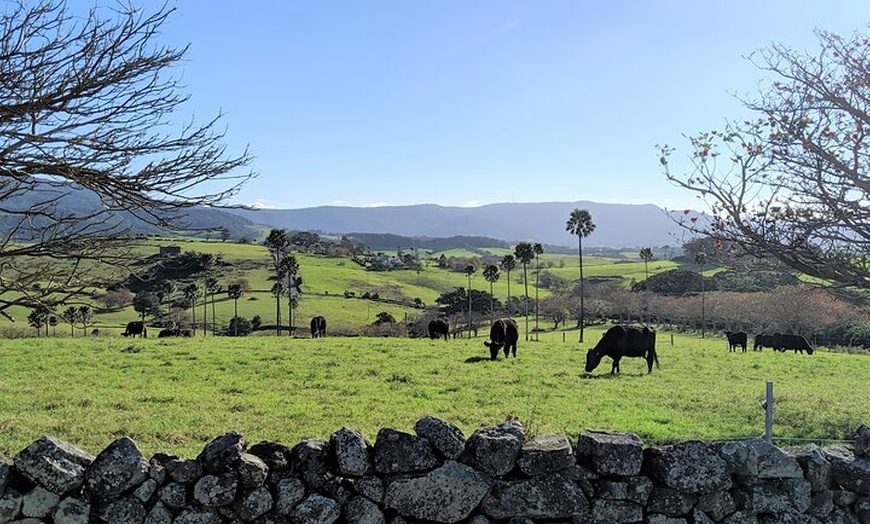 Image 6: Erupting Blowholes and Ancient Rainforests SOUTH COAST OF SYDNEY PR...