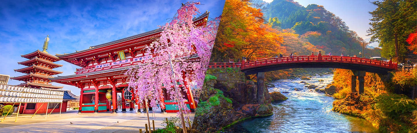 ✈ JAPAN | Tokio - Städtereise nach Tokio und Ausflug in ein Ryokan,...